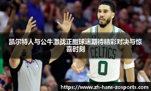 中欧体育官方网站